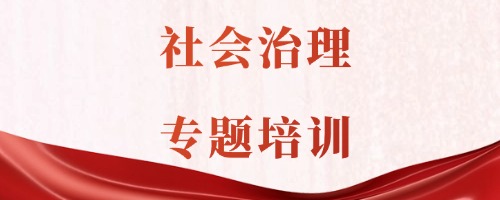 社会治理专题培训 