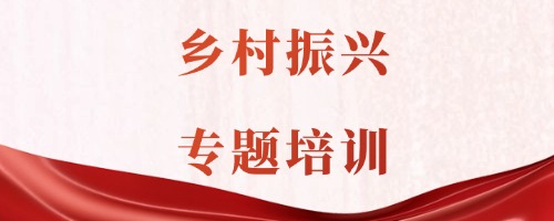 乡村振兴专题培训 