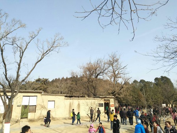党建培训赋能干部成长，解锁西柏坡3个实践密码 