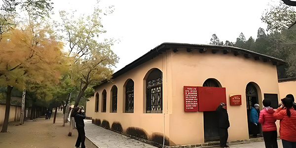 干部初心教育实操