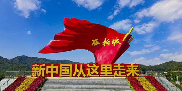 干部党建培训热门